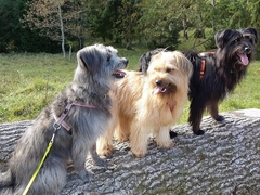 Im Herbst 2019 (11)